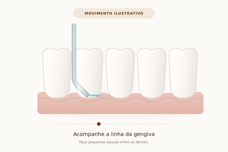 Animação ilustrativa de um bico direcionando o jato de água ao longo da linha da gengiva
